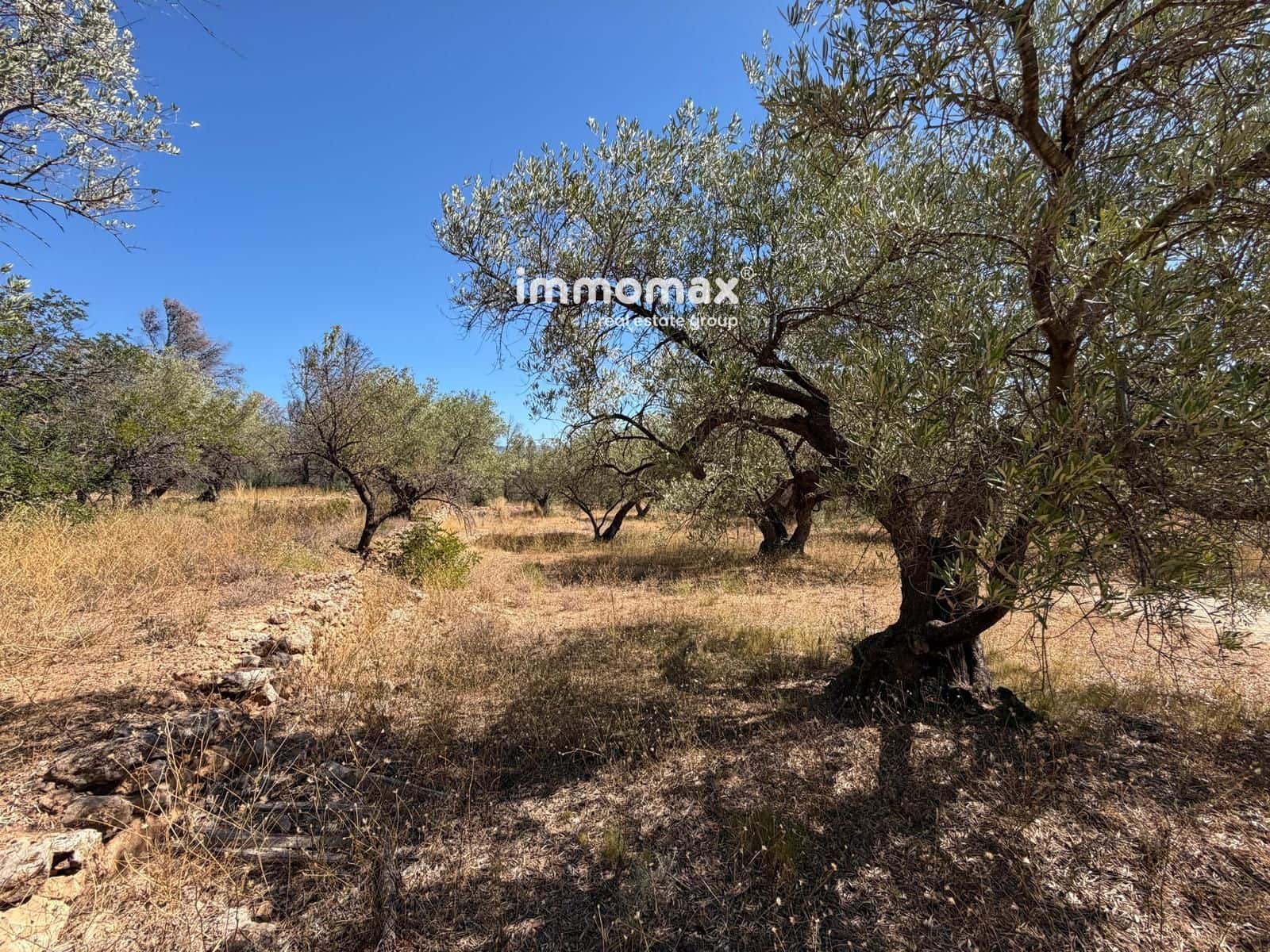 Terreno/Finca Rústica en Xerta en venta - 27.000 € (Ref: 10117107)