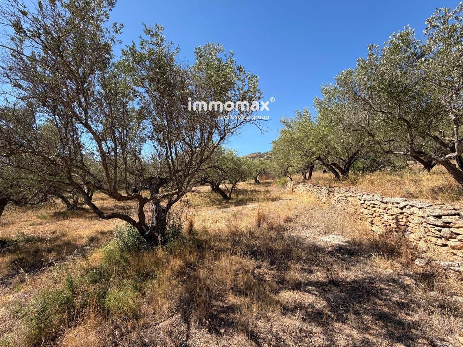 Terreno/Finca Rústica en Xerta en venta - 27.000 € (Ref: 10117107)