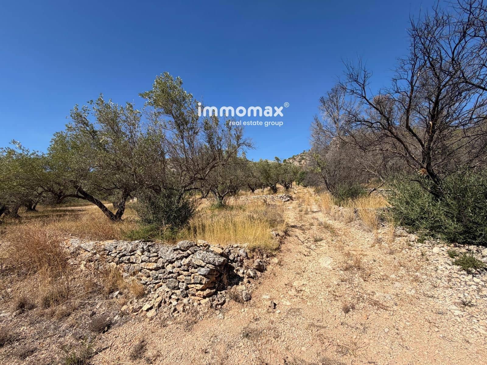 Terreno/Finca Rústica en Xerta en venta - 27.000 € (Ref: 10117107)
