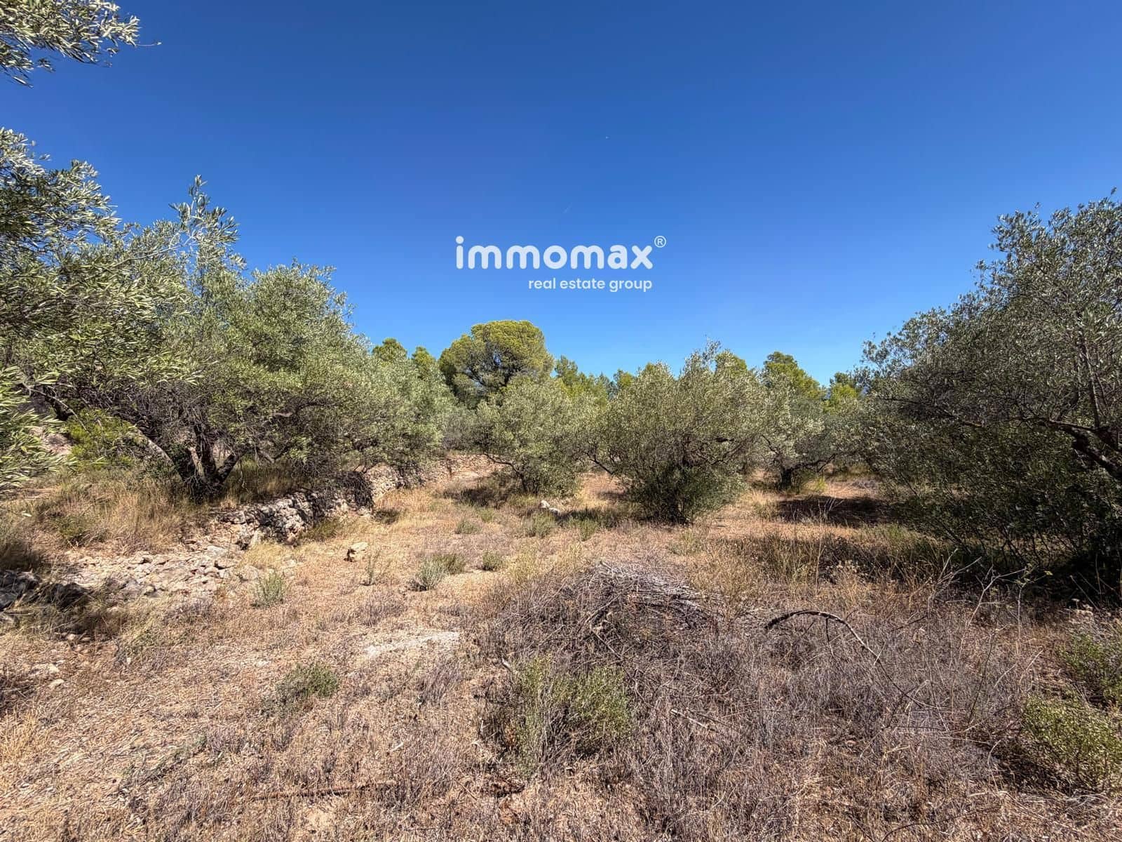 Terreno/Finca Rústica en Xerta en venta - 27.000 € (Ref: 10117107)