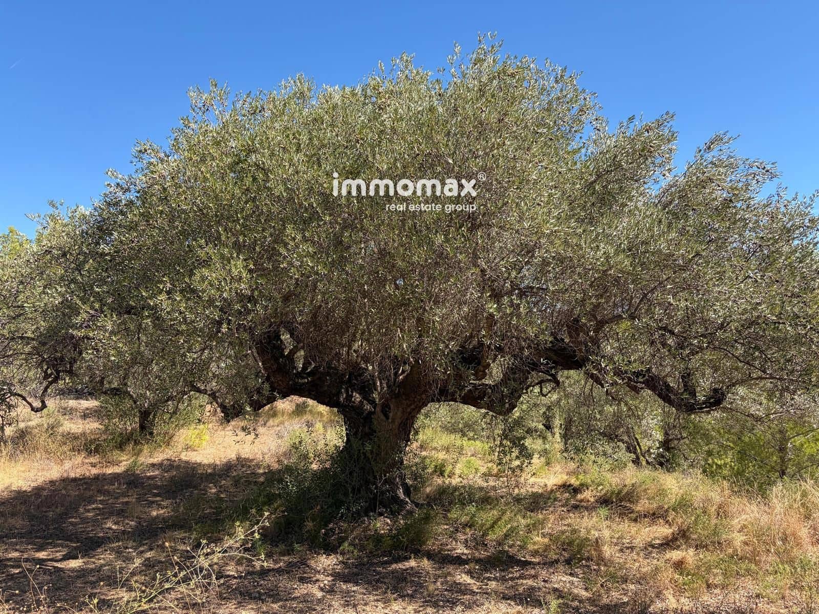 Terreno/Finca Rústica en Xerta en venta - 27.000 € (Ref: 10117107)