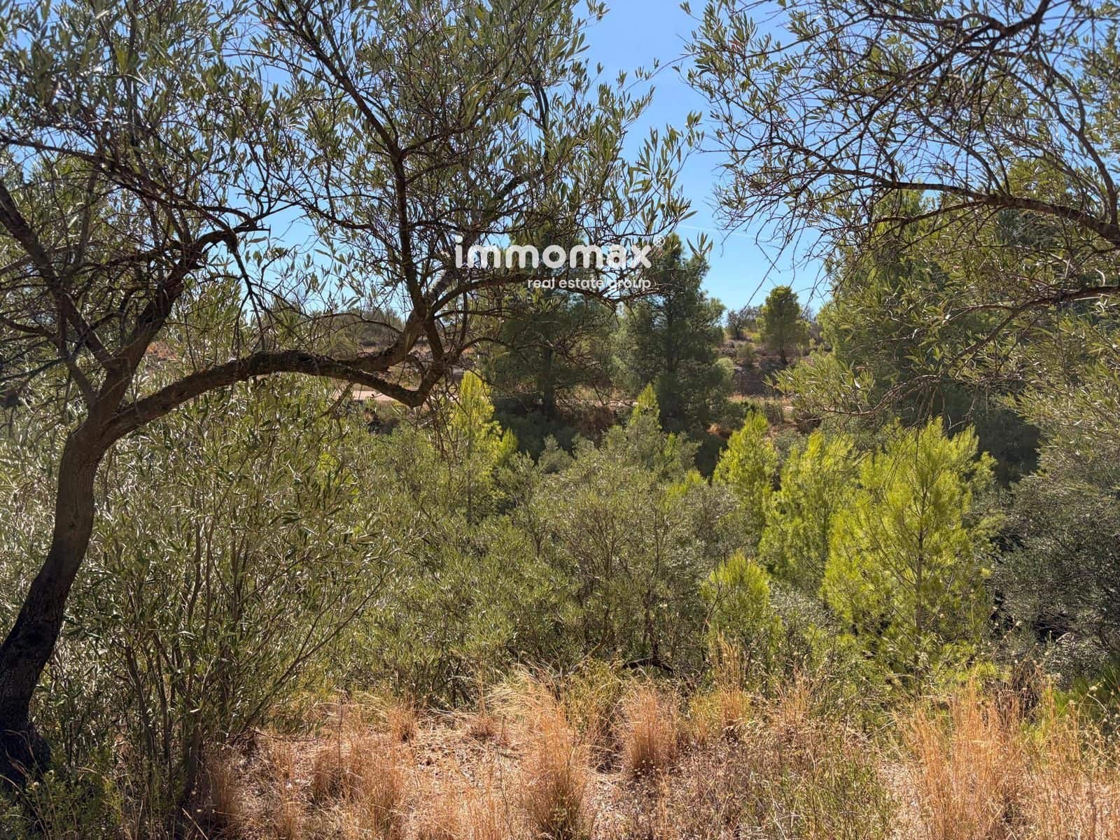 Terreno/Finca Rústica en Xerta en venta - 27.000 € (Ref: 10117107)