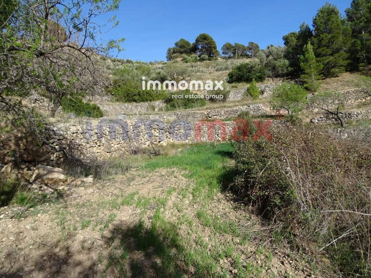 Ubebygd land til salgs i Pauls - € 28 000 (Ref: 10133495)