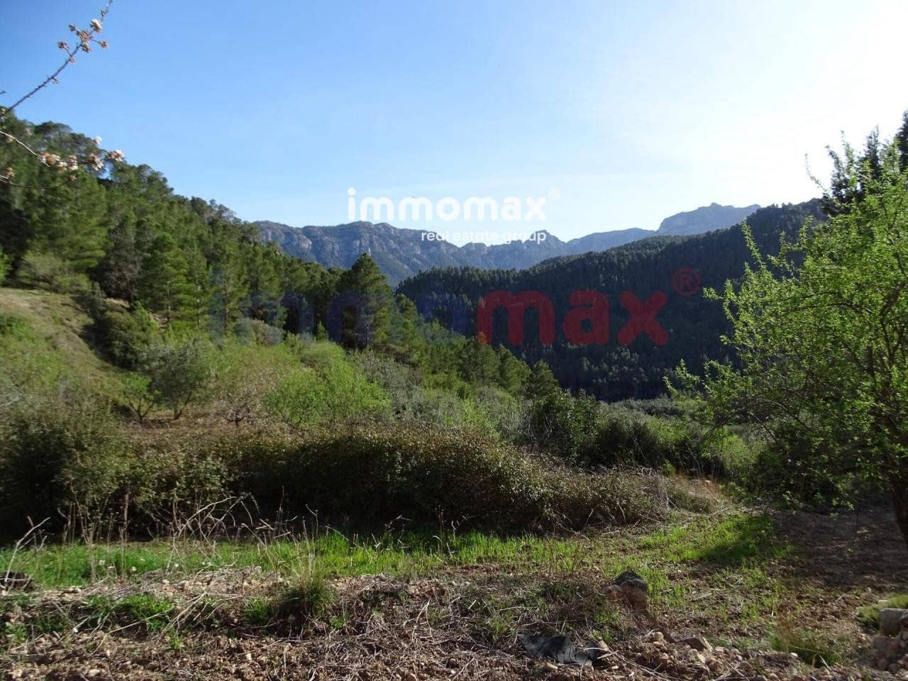 Ubebygd land til salgs i Pauls - € 28 000 (Ref: 10133495)