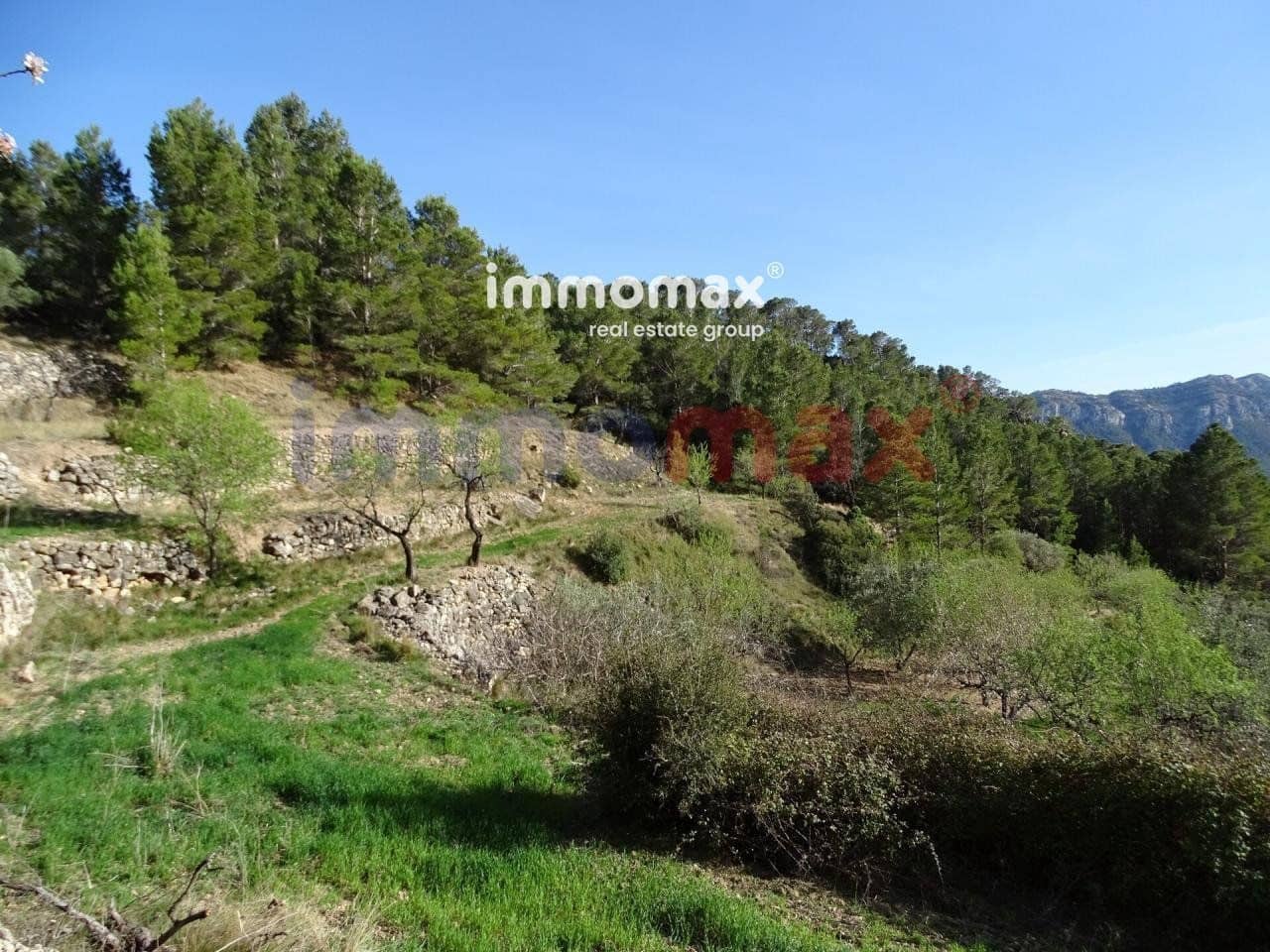 Ubebygd land til salgs i Pauls - € 28 000 (Ref: 10133495)