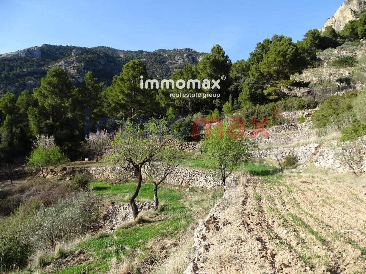 Ubebygd land til salgs i Pauls - € 28 000 (Ref: 10133495)