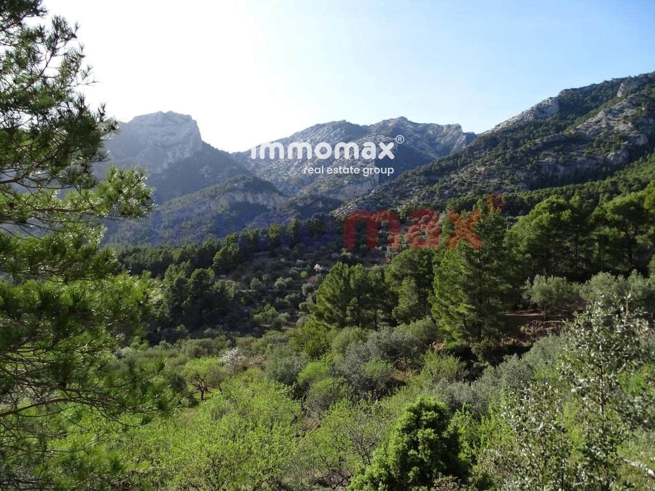 Ubebygd land til salgs i Pauls - € 28 000 (Ref: 10133495)