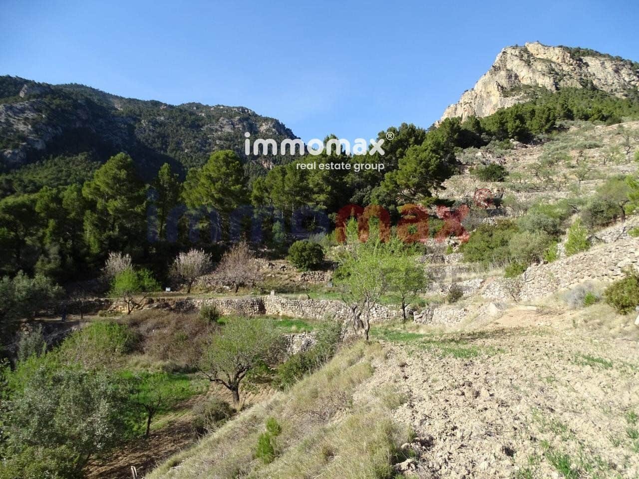 Ubebygd land til salgs i Pauls - € 28 000 (Ref: 10133495)