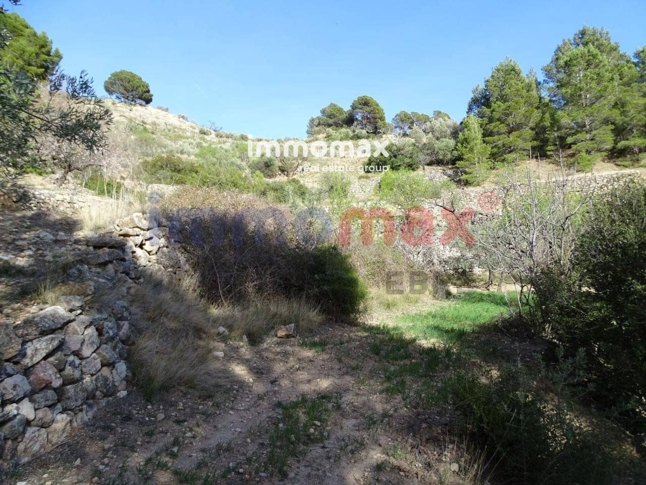 Ubebygd land til salgs i Pauls - € 28 000 (Ref: 10133495)