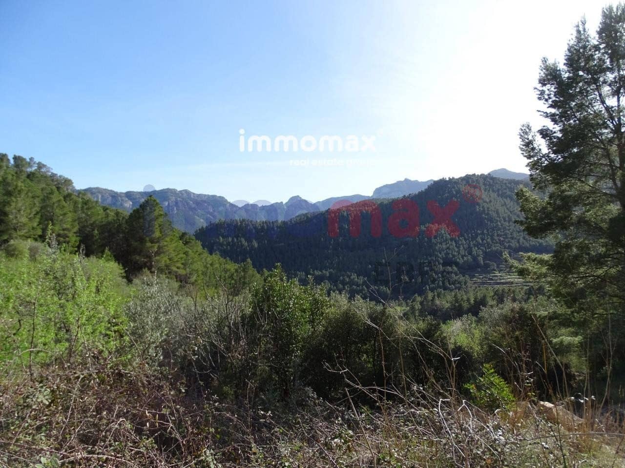 Ubebygd land til salgs i Pauls - € 28 000 (Ref: 10133495)