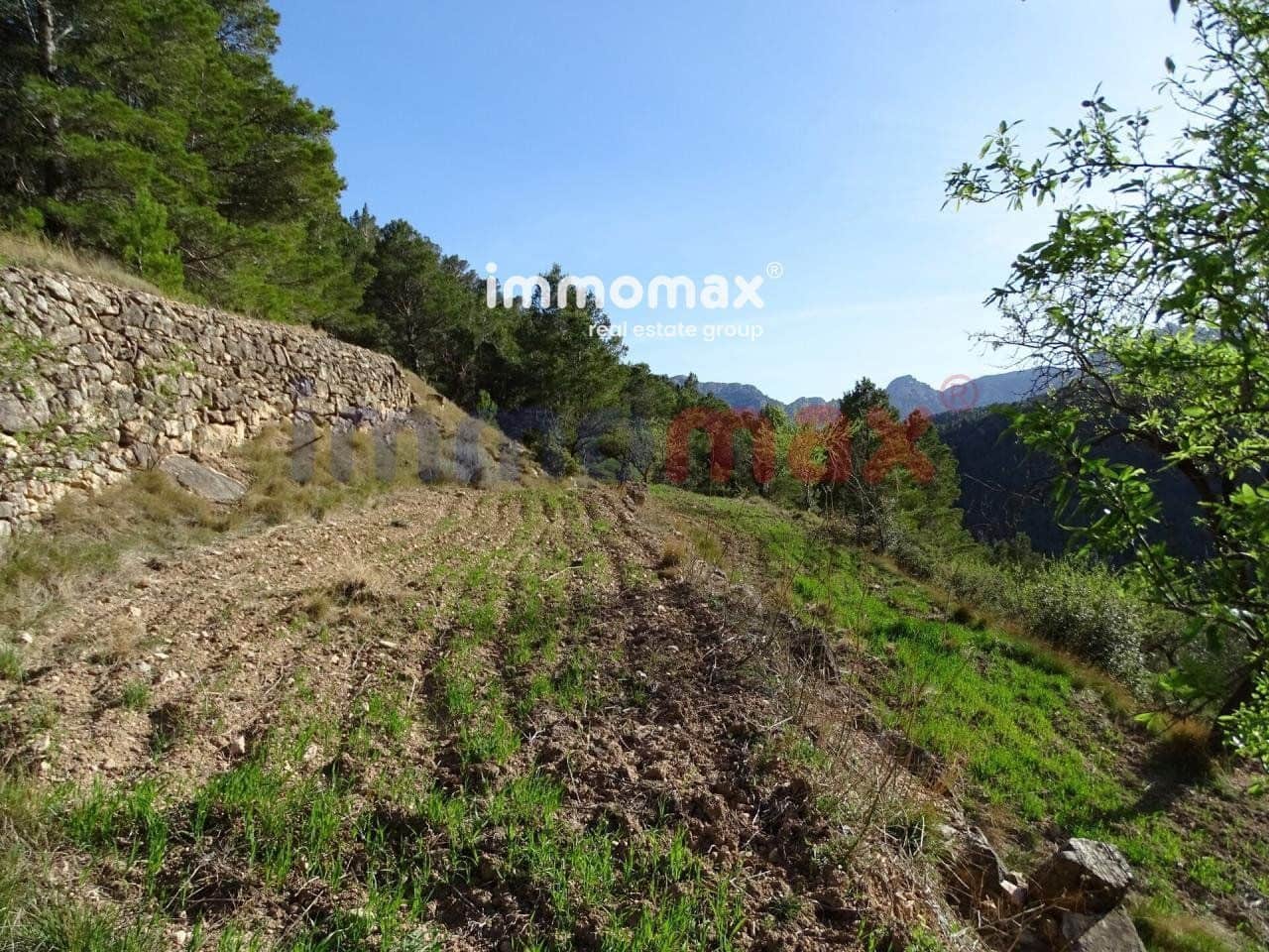 Ubebygd land til salgs i Pauls - € 28 000 (Ref: 10133495)