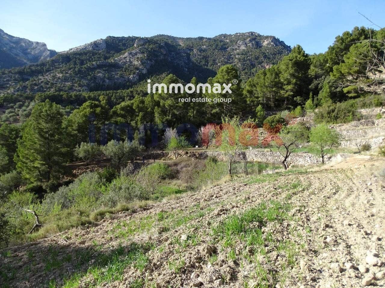 Ubebygd land til salgs i Pauls - € 28 000 (Ref: 10133495)