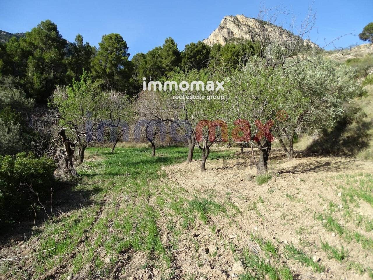 Ubebygd land til salgs i Pauls - € 28 000 (Ref: 10133495)