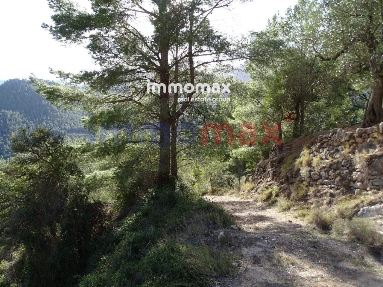 Ubebygd land til salgs i Pauls - € 28 000 (Ref: 10133495)