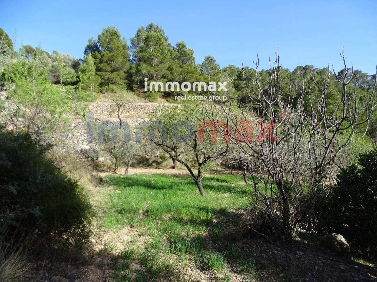 Ubebygd land til salgs i Pauls - € 28 000 (Ref: 10133495)