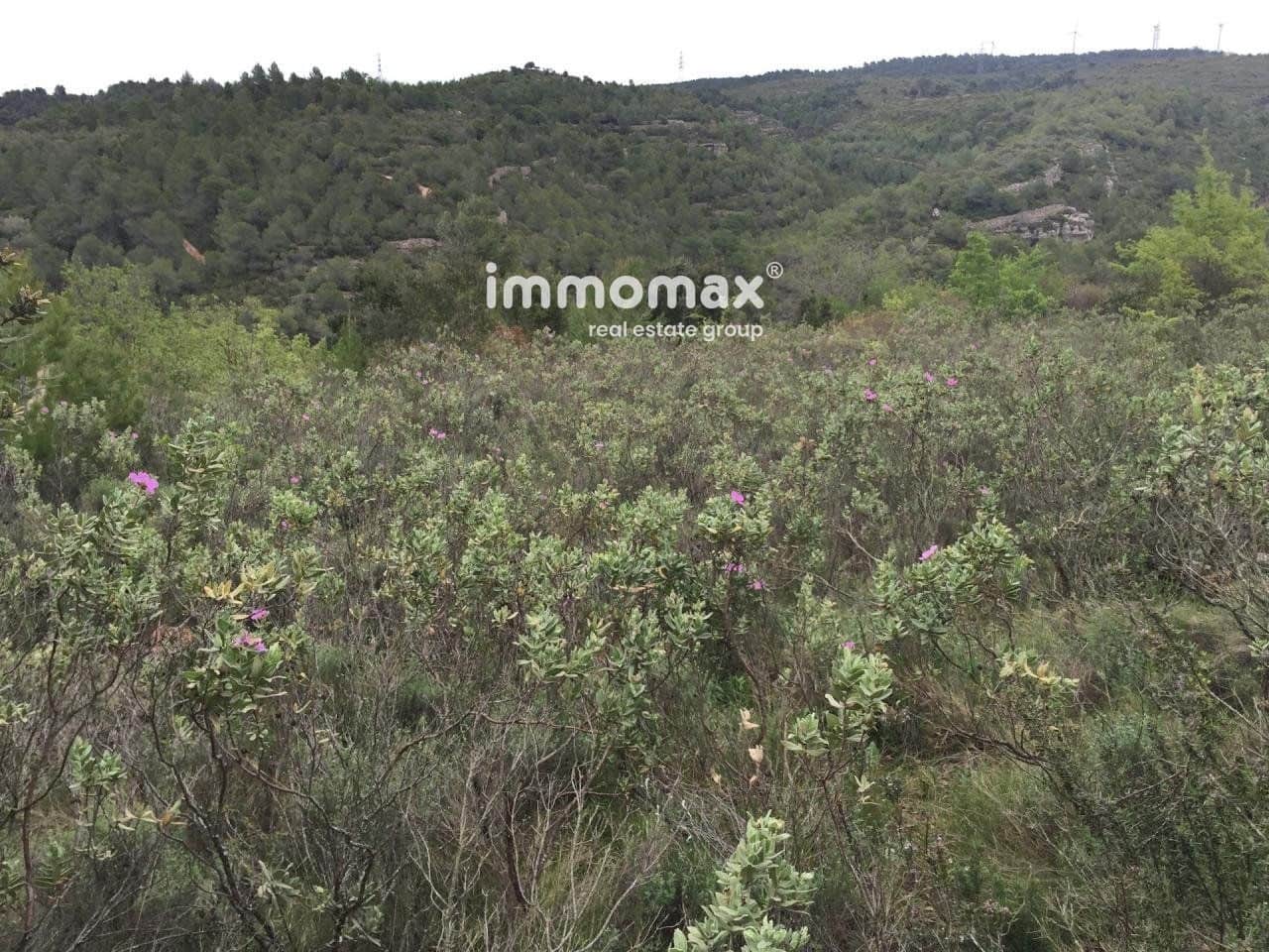 4 bedroom Villa for sale in Pradell de la Teixeta with pool - € 189,000 (Ref: 8045345)