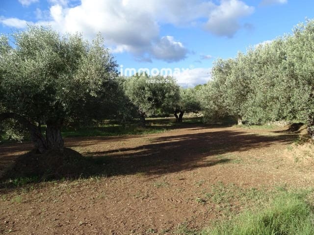 Grond te koop in Aldover - € 41.000 (Ref: 8045436)