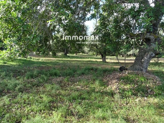 Grond te koop in Aldover - € 41.000 (Ref: 8045436)