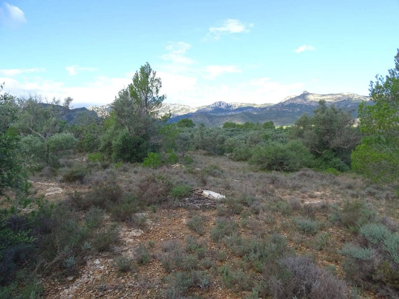 Grunde uden byggetilladelser til salg i Aldover - € 41.000 (Ref: 8045437)