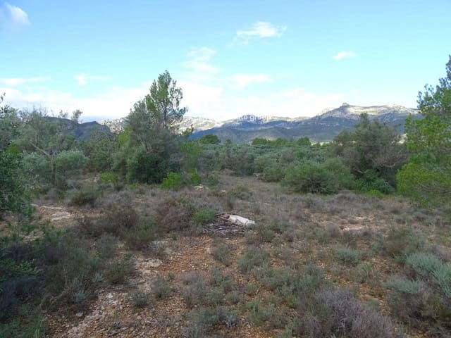 Grond te koop in Aldover - € 41.000 (Ref: 8045437)