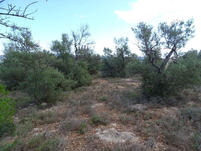 Grond te koop in Aldover - € 41.000 (Ref: 8045437)