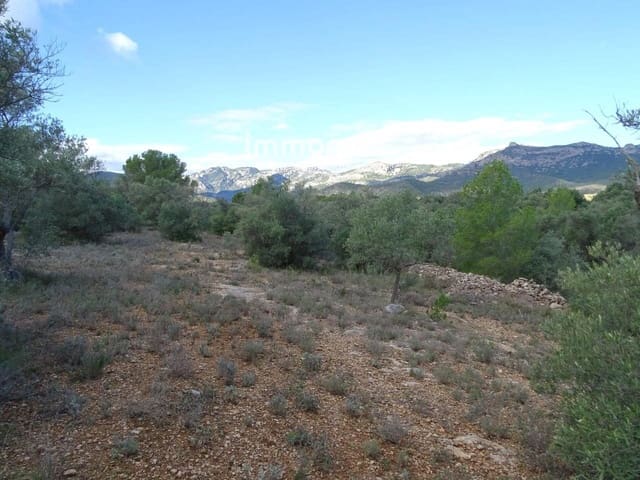 Grond te koop in Aldover - € 41.000 (Ref: 8045437)