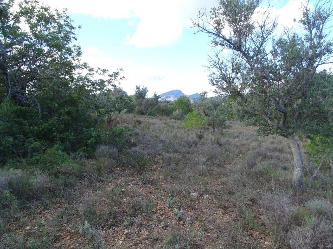 Grunde uden byggetilladelser til salg i Aldover - € 41.000 (Ref: 8045437)