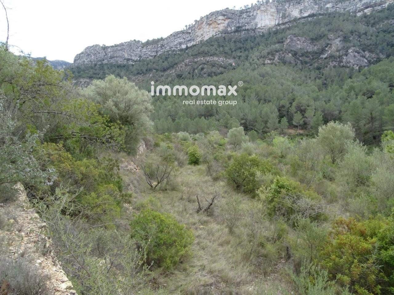 Terre non Aménagée à vendre à Benifallet - 66 000 € (Ref: 8045438)