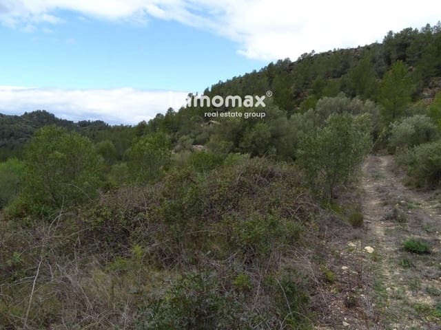 Undeveloped Land for sale in Benifallet - € 66,000 (Ref: 8045438)