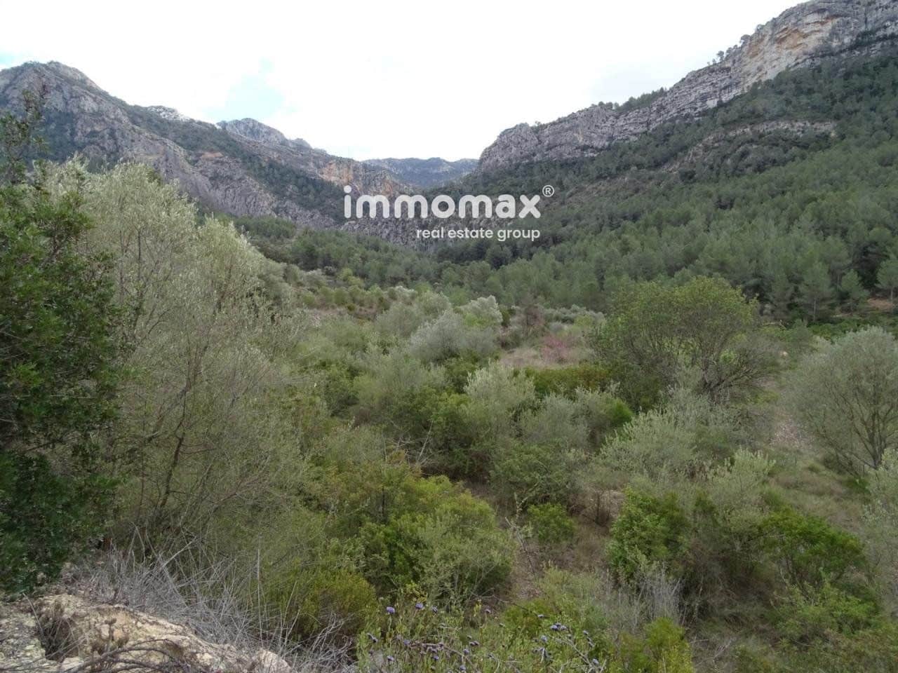 Terre non Aménagée à vendre à Benifallet - 66 000 € (Ref: 8045438)