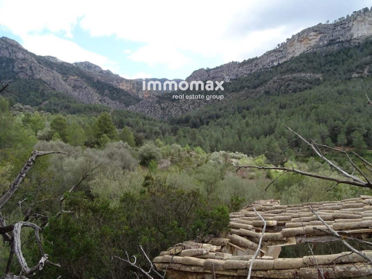 Terre non Aménagée à vendre à Benifallet - 66 000 € (Ref: 8045438)