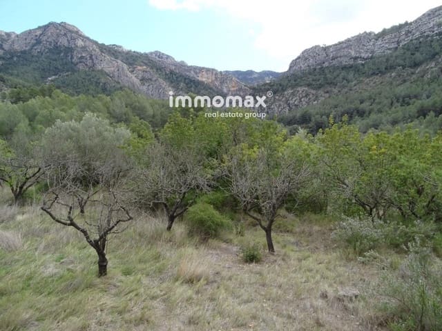 Undeveloped Land for sale in Benifallet - € 66,000 (Ref: 8045438)