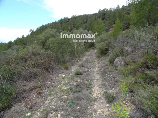 Undeveloped Land for sale in Benifallet - € 66,000 (Ref: 8045438)