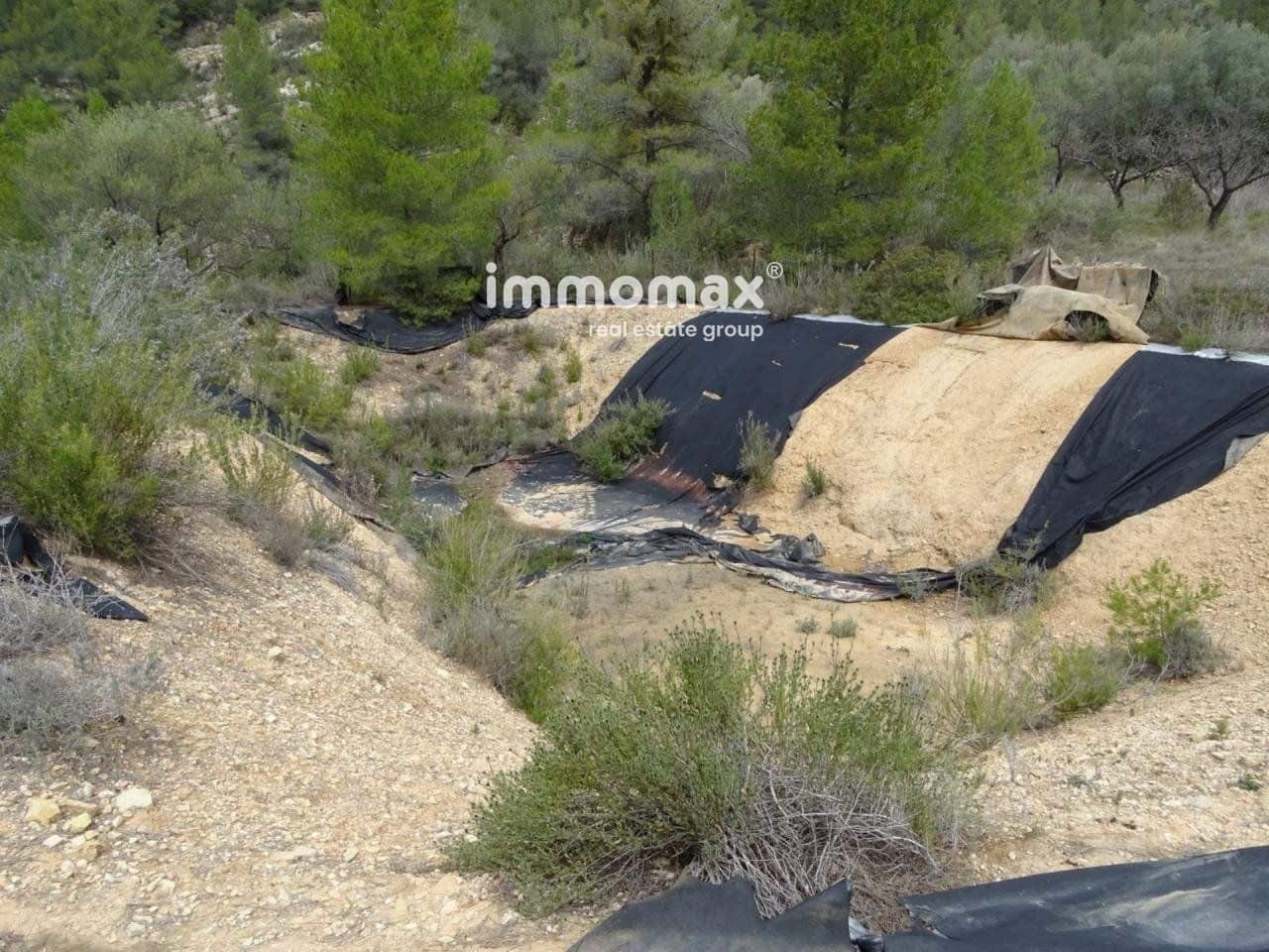 Terre non Aménagée à vendre à Benifallet - 66 000 € (Ref: 8045438)