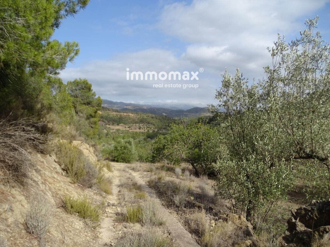 Grunde uden byggetilladelser til salg i Pauls - € 32.000 (Ref: 8048096)