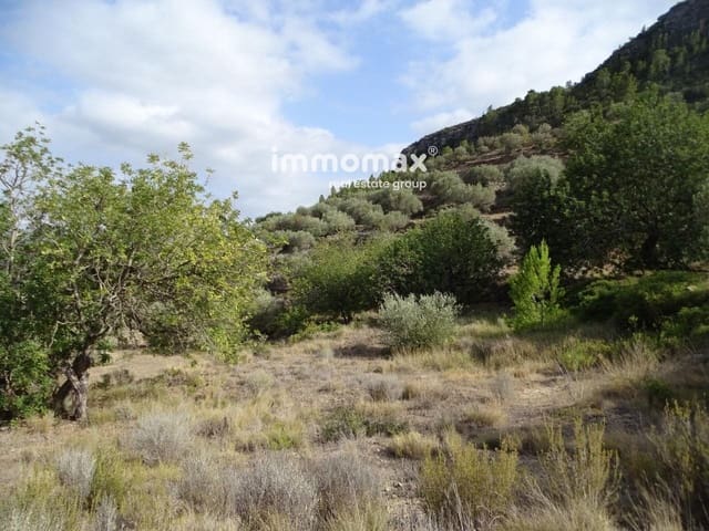 Ubebygd land til salgs i Paüls - € 32 000 (Ref: 8048096)