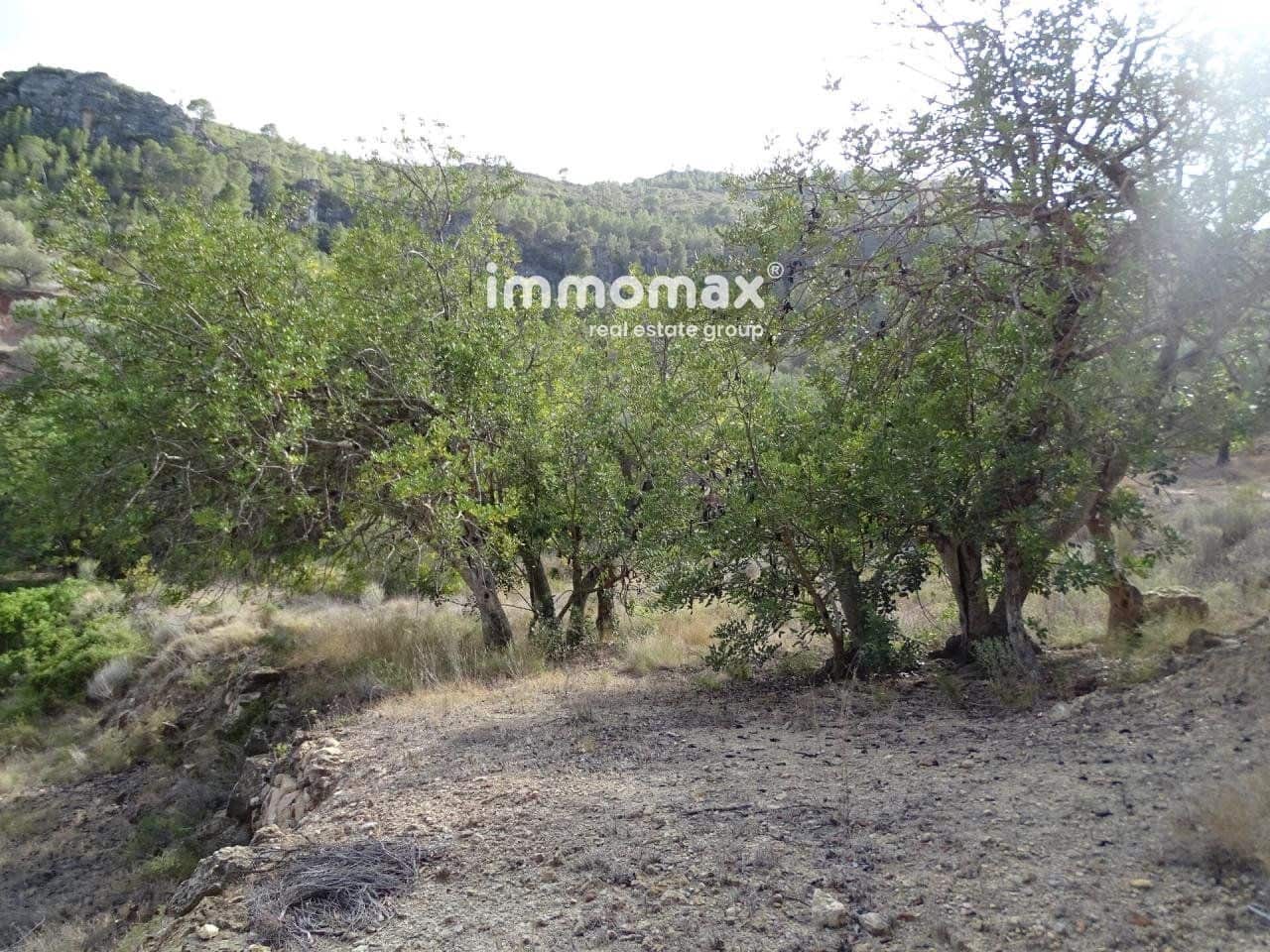 Grunde uden byggetilladelser til salg i Pauls - € 32.000 (Ref: 8048096)