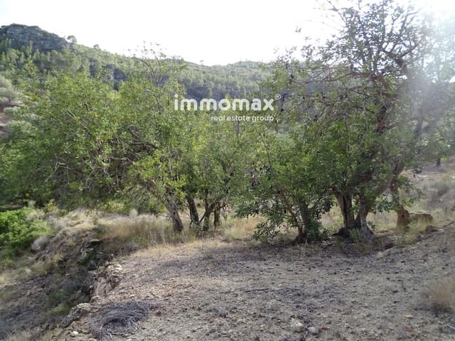 Ubebygd land til salgs i Paüls - € 32 000 (Ref: 8048096)