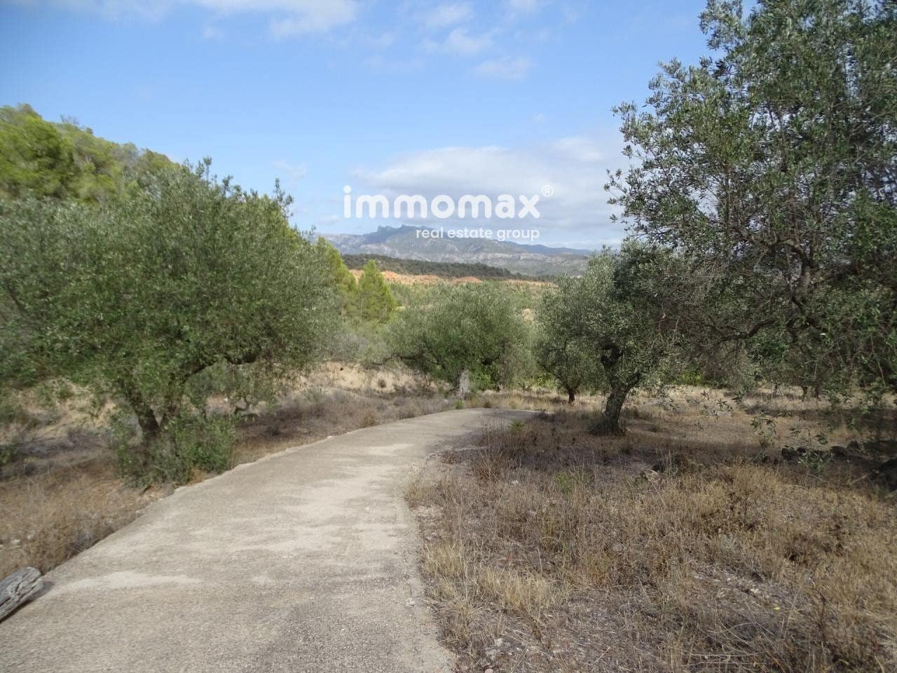 Grunde uden byggetilladelser til salg i Pauls - € 32.000 (Ref: 8048096)