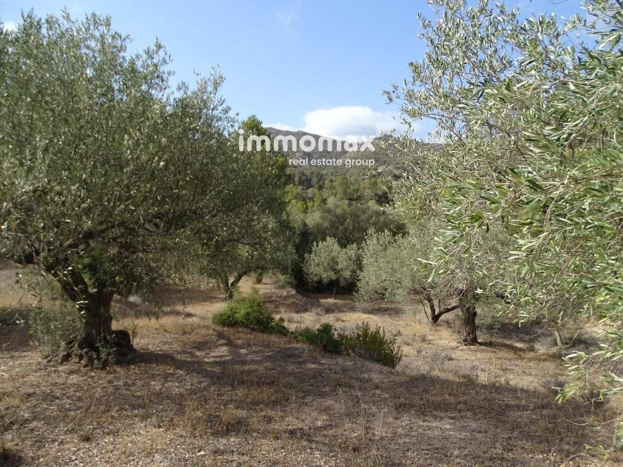 Grunde uden byggetilladelser til salg i Pauls - € 32.000 (Ref: 8048096)