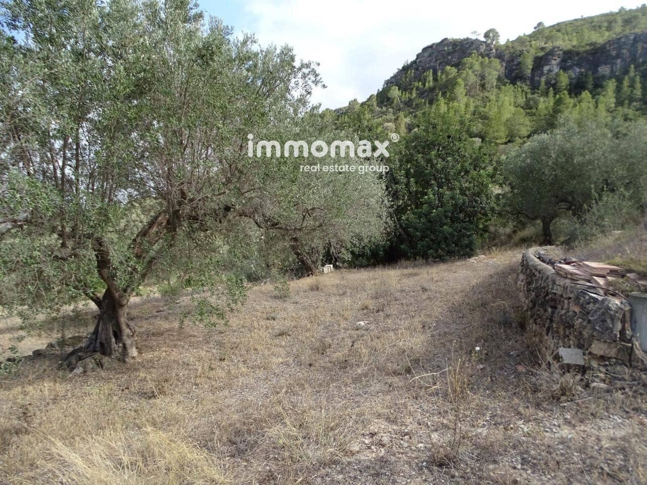 Grunde uden byggetilladelser til salg i Pauls - € 32.000 (Ref: 8048096)