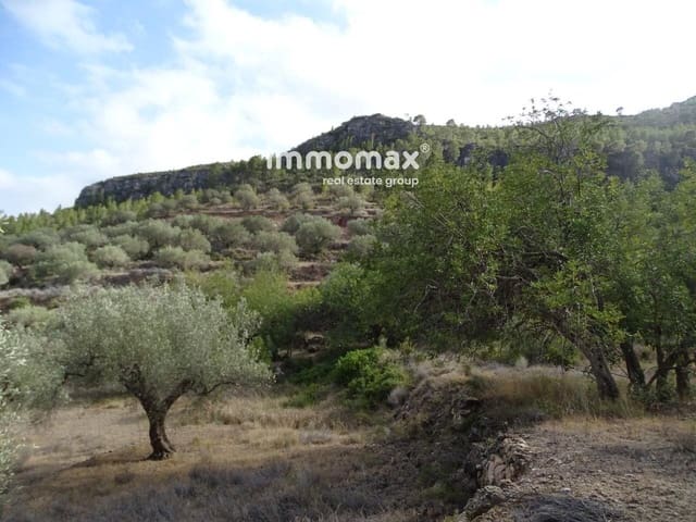 Ubebygd land til salgs i Paüls - € 32 000 (Ref: 8048096)