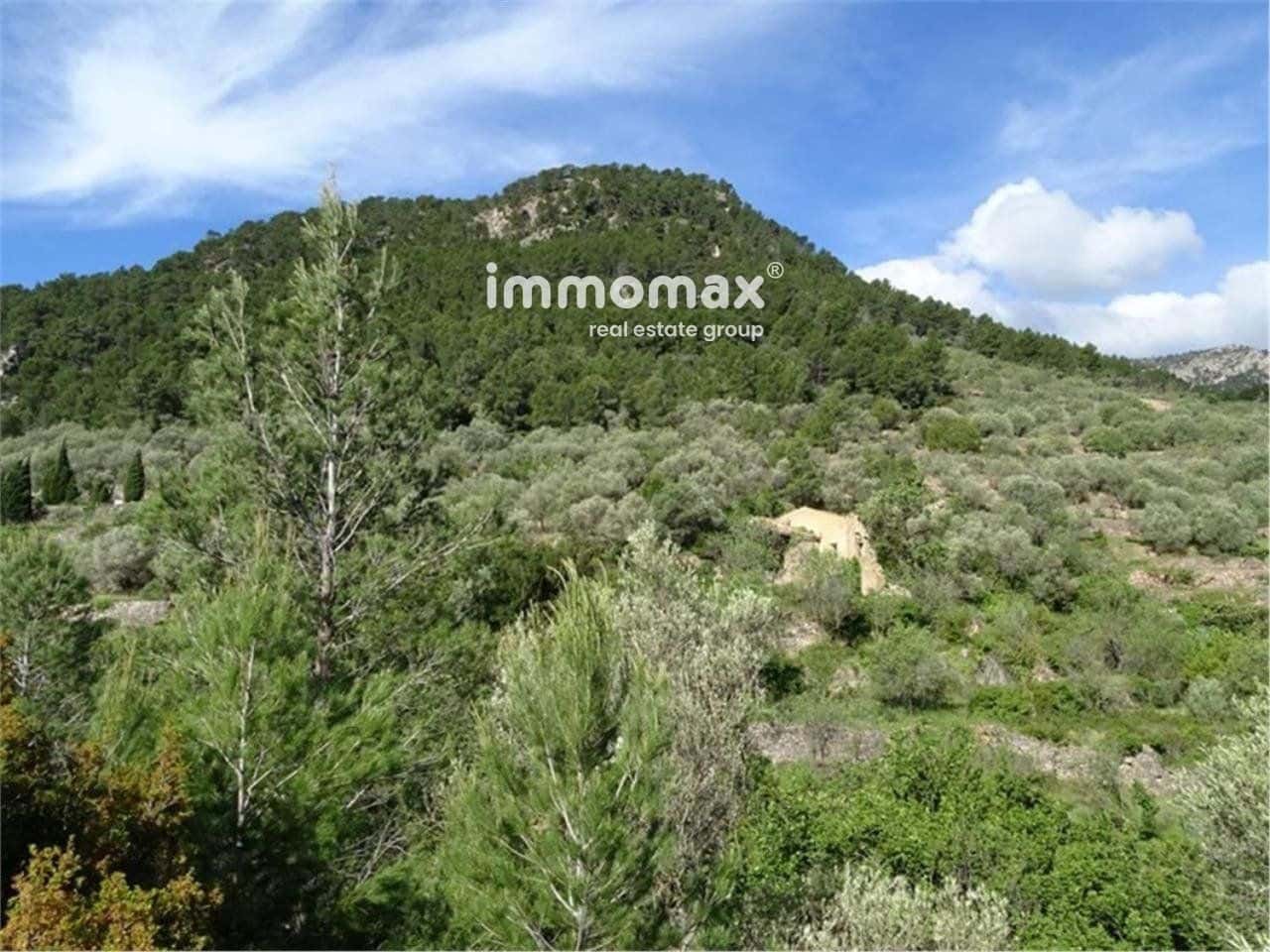 Ubebygd land til salgs i Pauls - € 55 000 (Ref: 8048105)