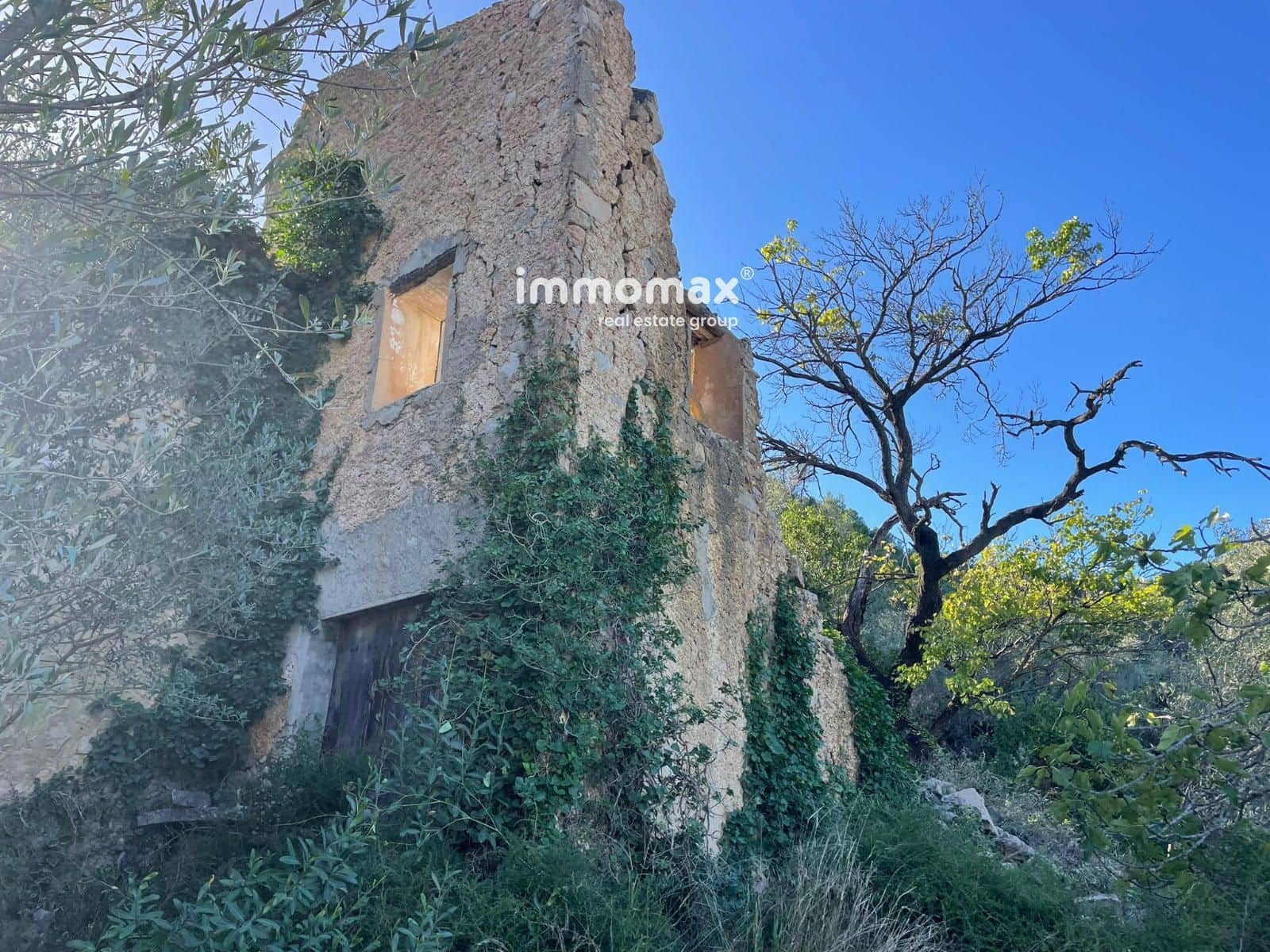 Ubebygd land til salgs i Pauls - € 55 000 (Ref: 8048105)