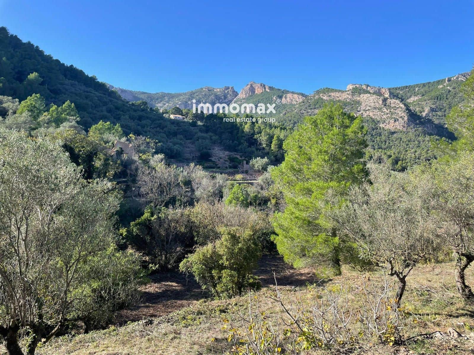 Ubebygd land til salgs i Pauls - € 55 000 (Ref: 8048105)