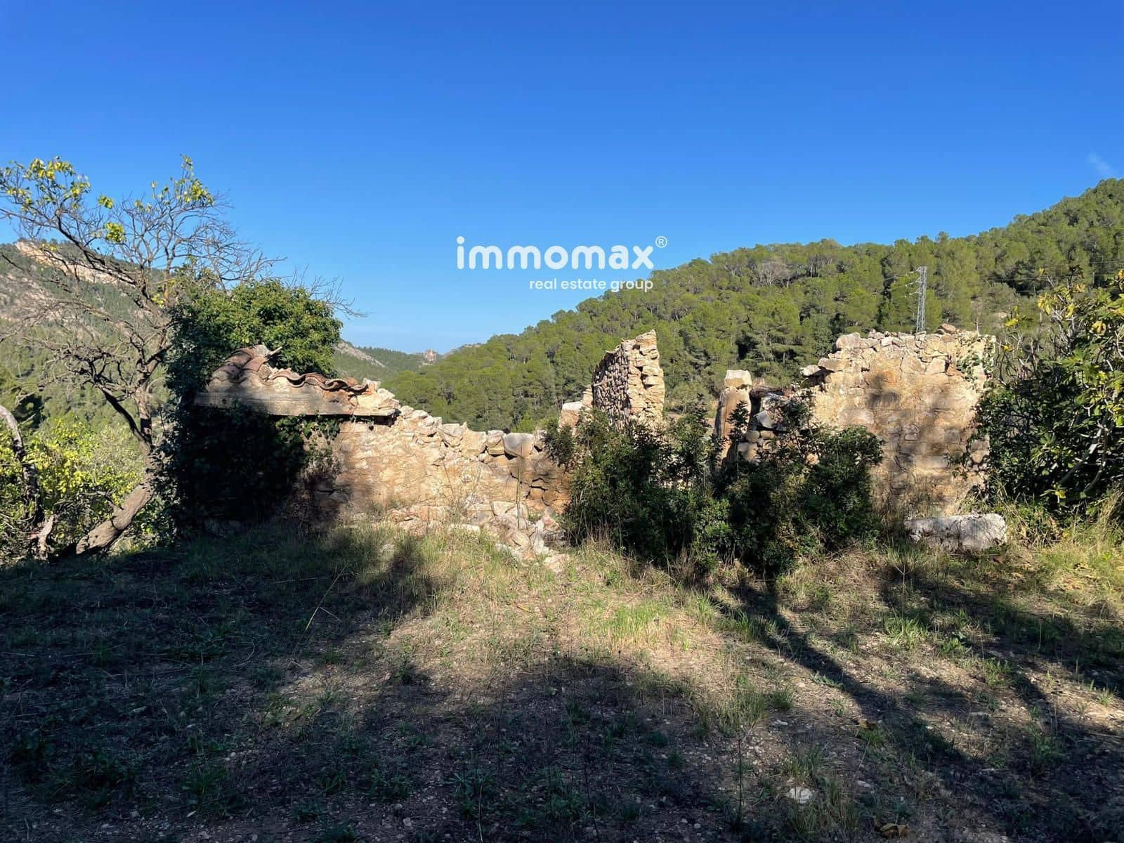 Ubebygd land til salgs i Pauls - € 55 000 (Ref: 8048105)