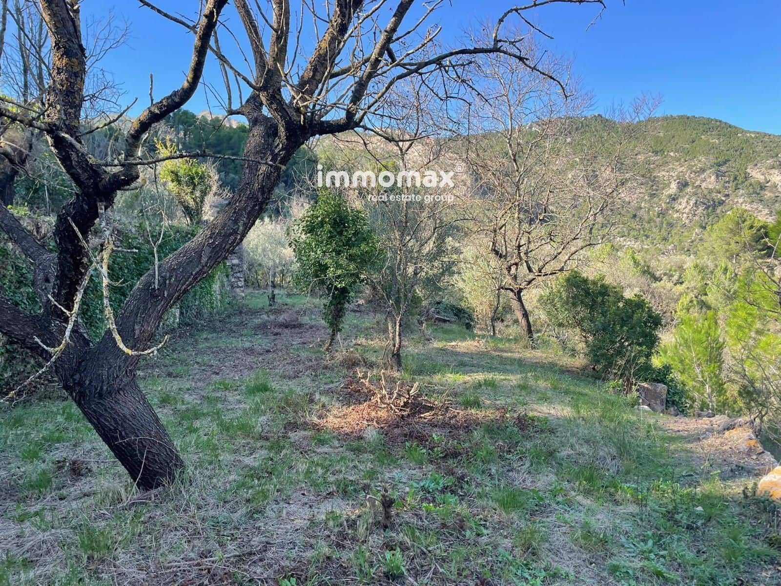 Ubebygd land til salgs i Pauls - € 55 000 (Ref: 8048105)