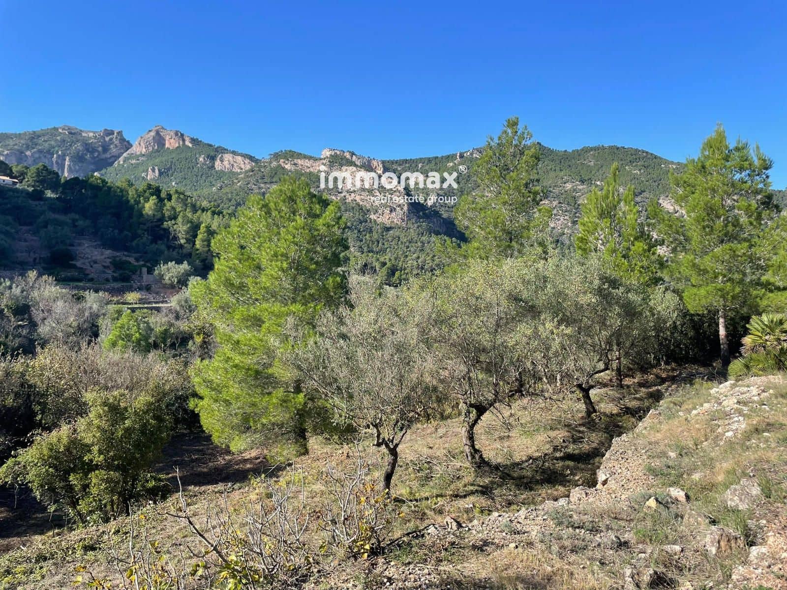 Ubebygd land til salgs i Pauls - € 55 000 (Ref: 8048105)