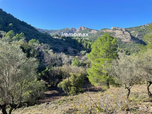 Mark till salu i Paüls - 55 000 € (Ref: 8048105)