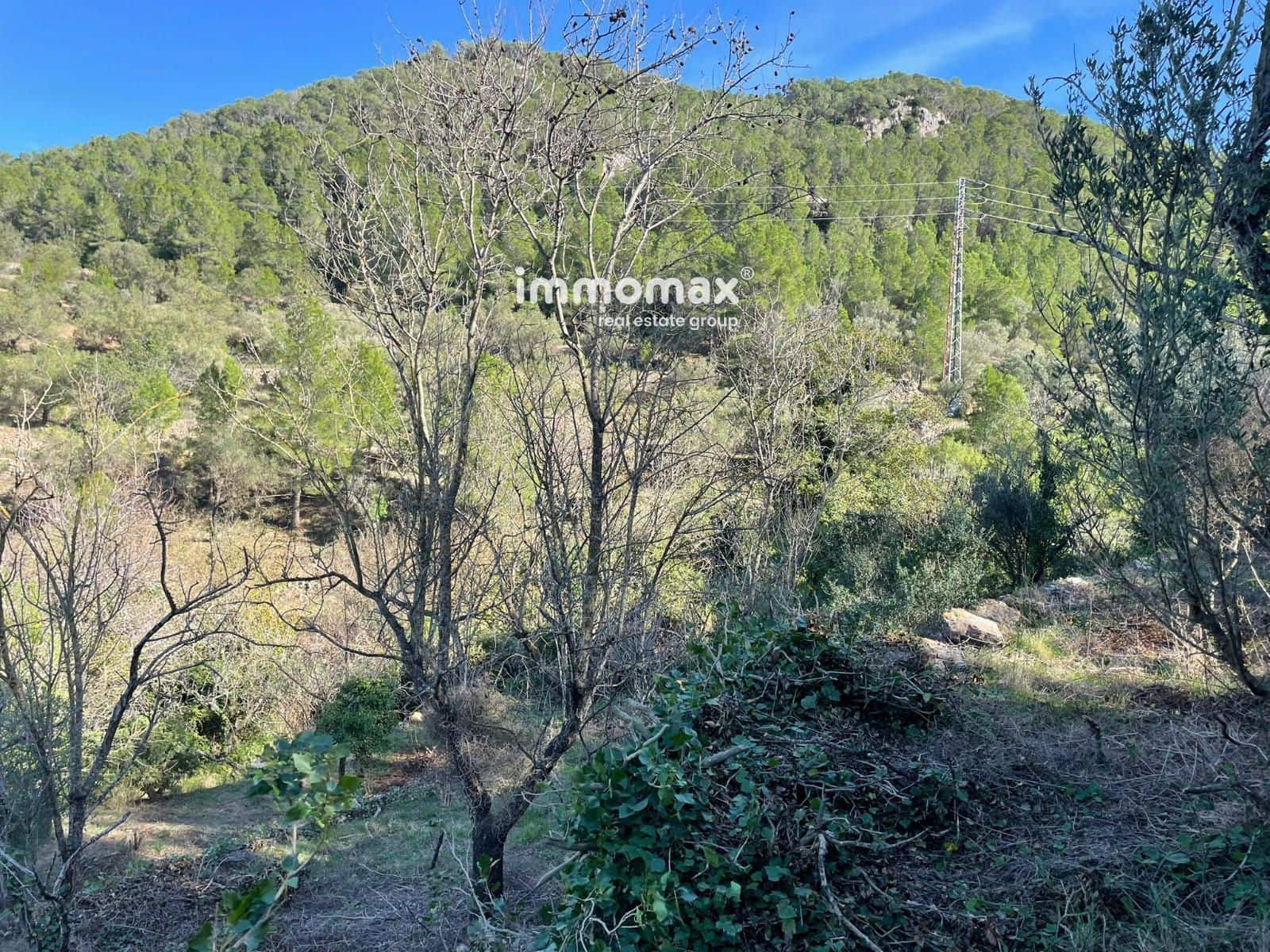 Ubebygd land til salgs i Pauls - € 55 000 (Ref: 8048105)